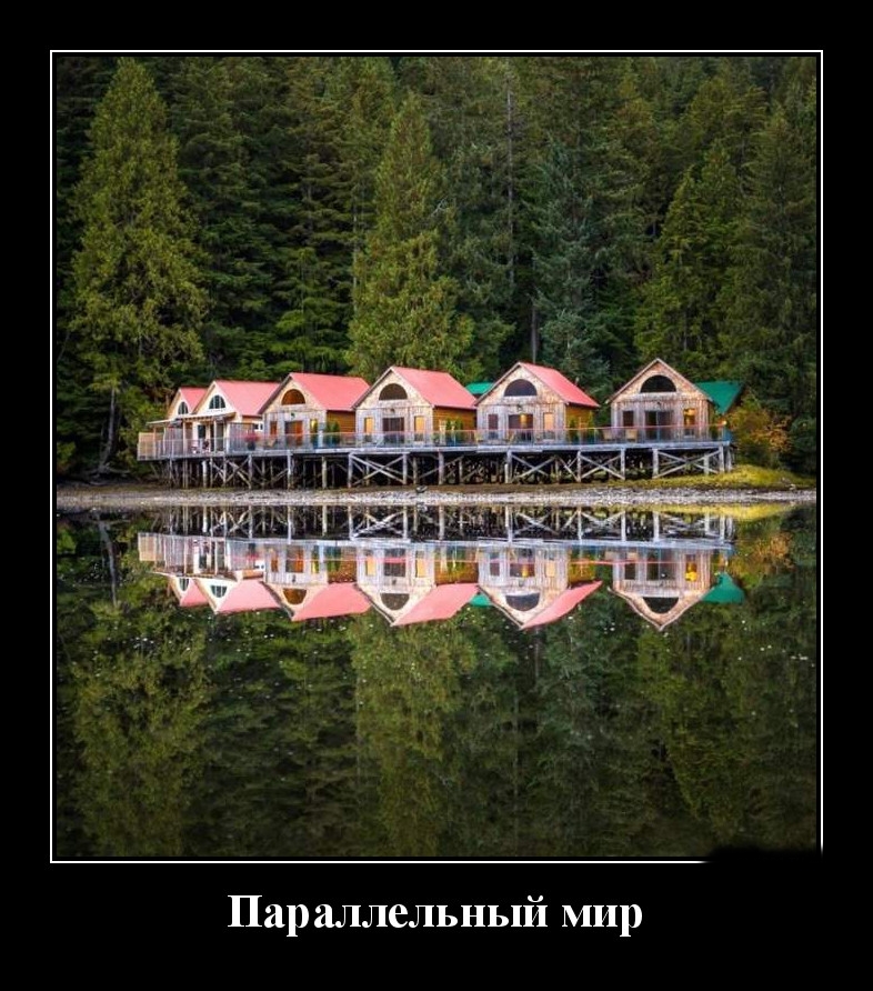 Podborka luchshikh demotivatorov 529 012